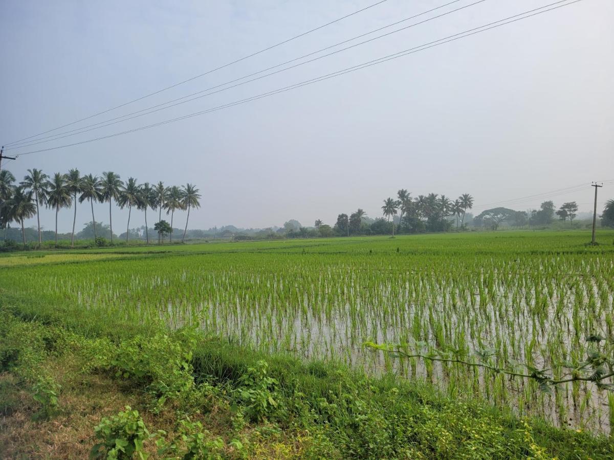 Tanjore Home Stay Thanjavur Bagian luar foto