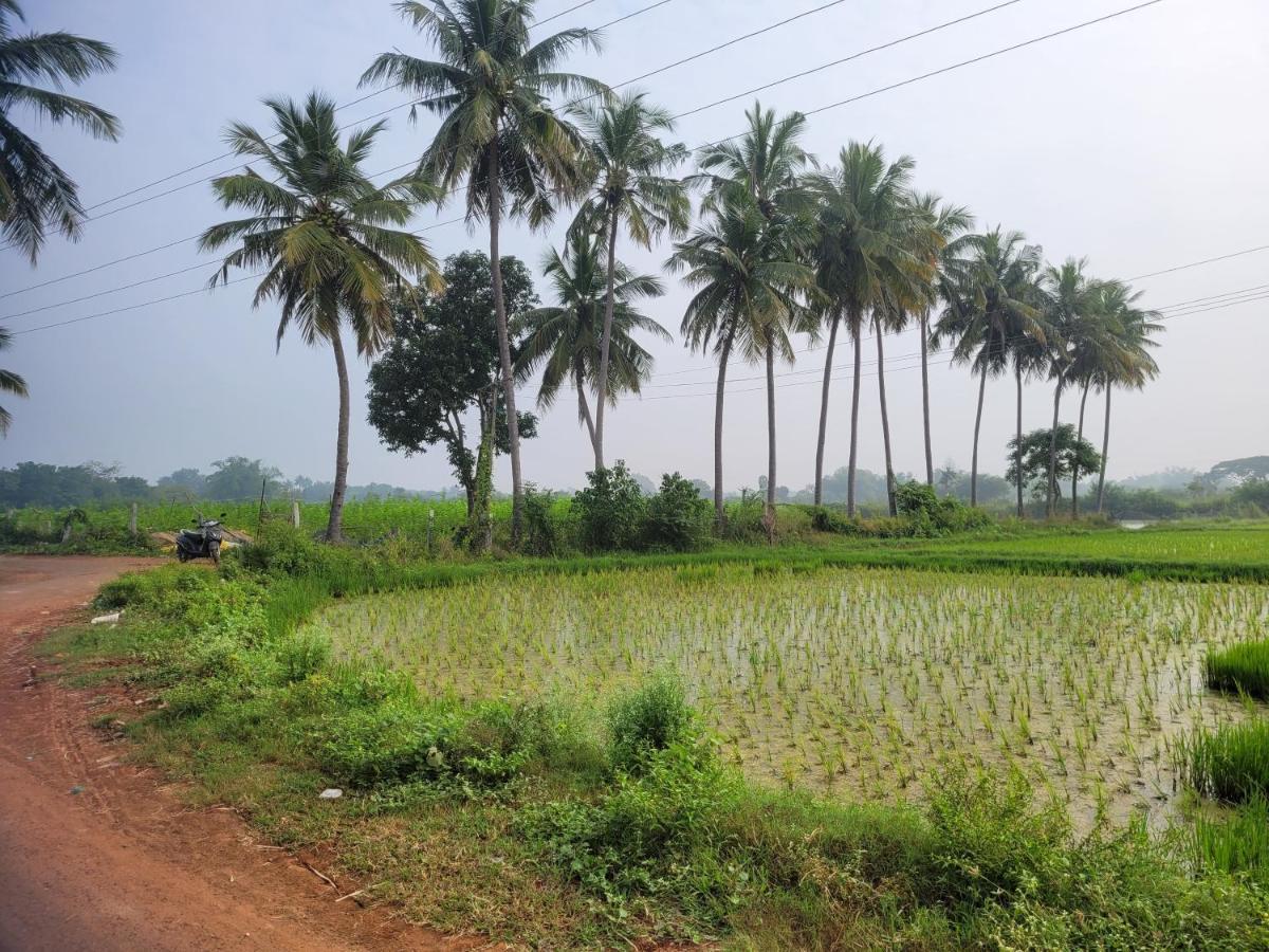 Tanjore Home Stay Thanjavur Bagian luar foto