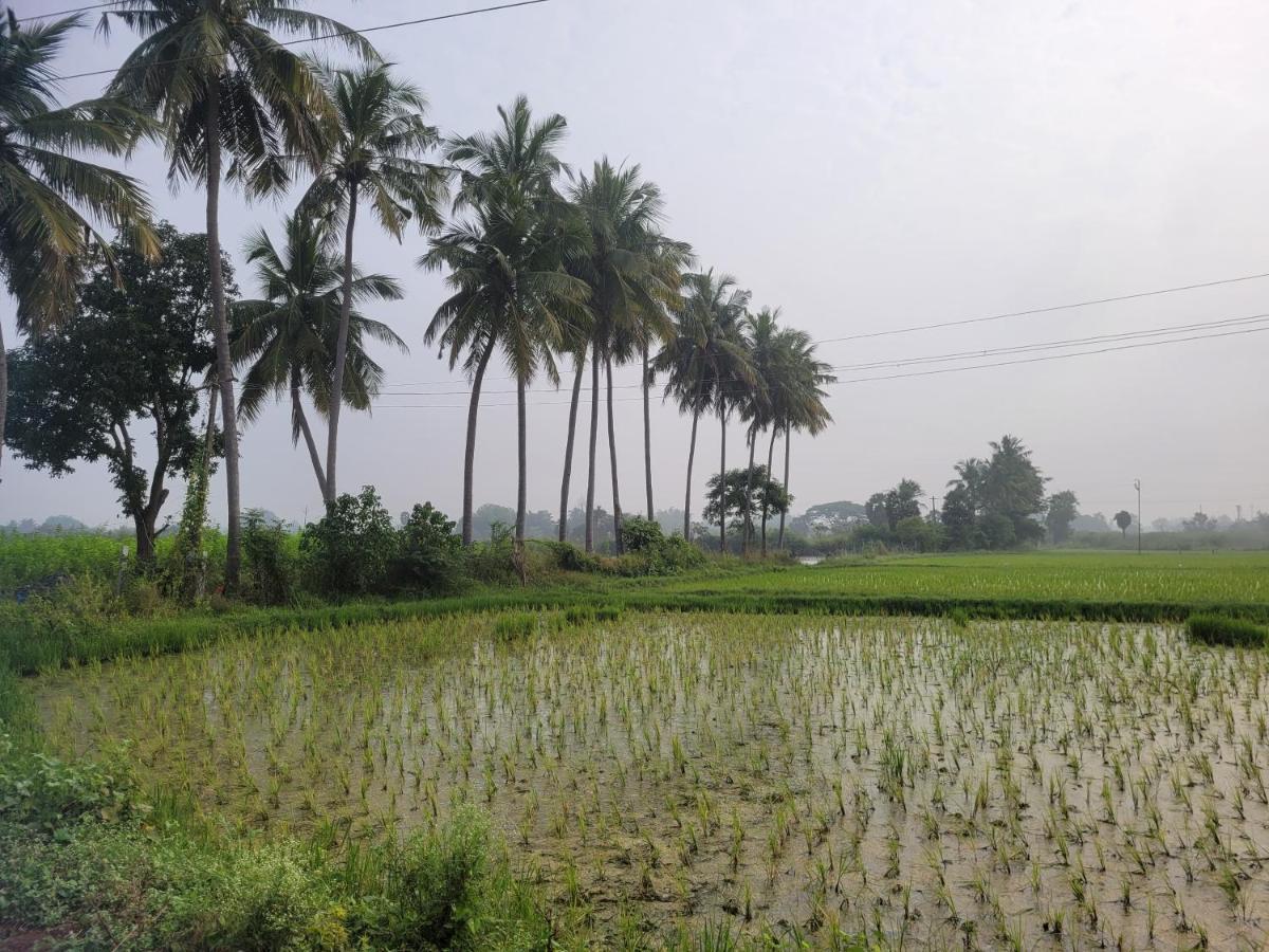 Tanjore Home Stay Thanjavur Bagian luar foto