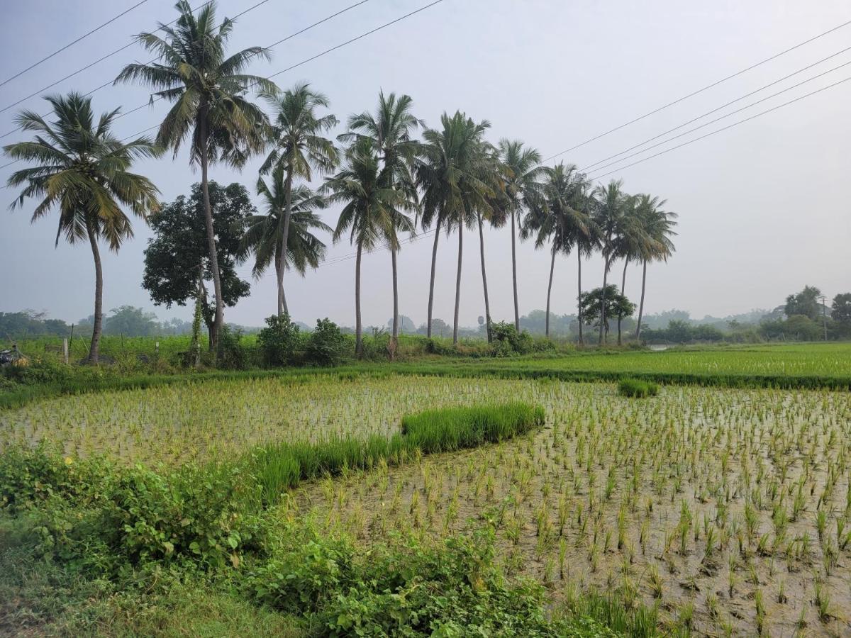 Tanjore Home Stay Thanjavur Bagian luar foto