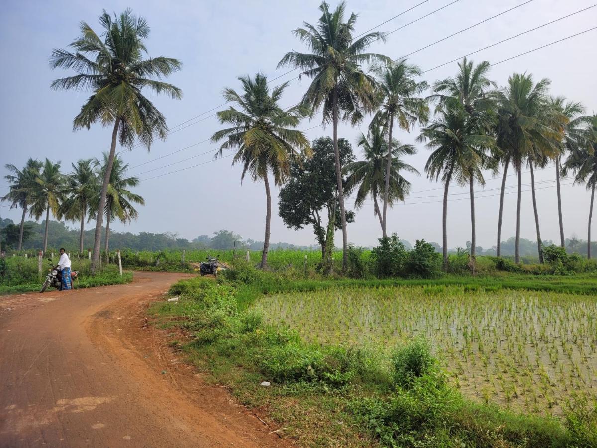 Tanjore Home Stay Thanjavur Bagian luar foto